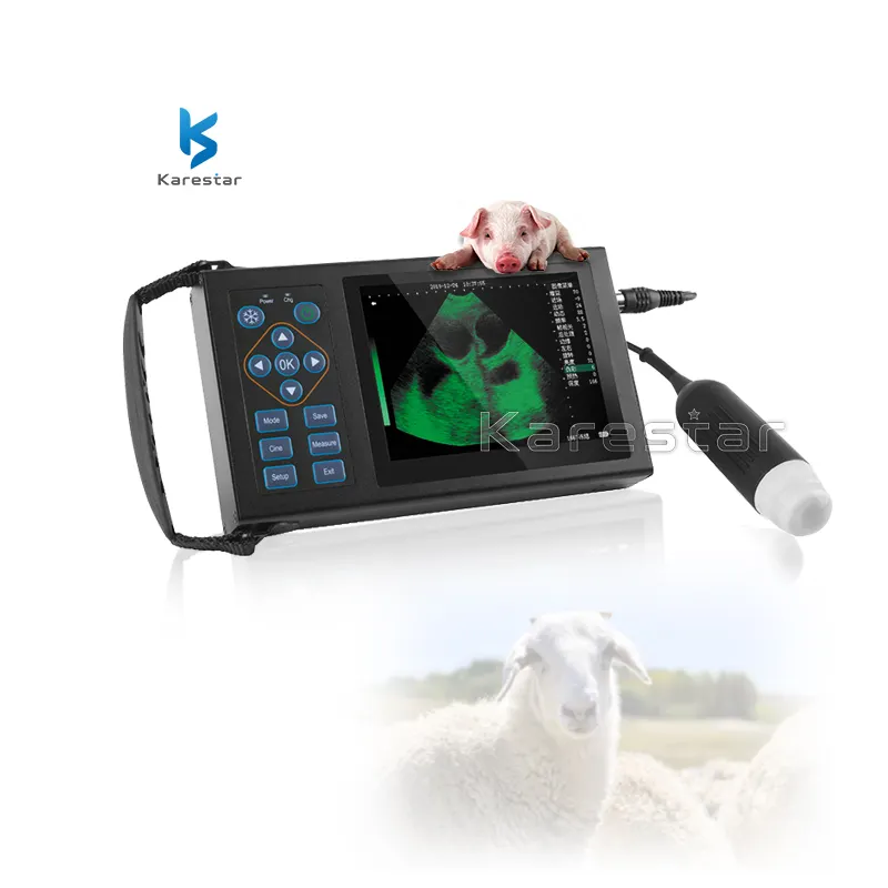 ハンドヘルド動物妊娠診断システム超音波スキャナー犬の色のための獣医超音波マシン