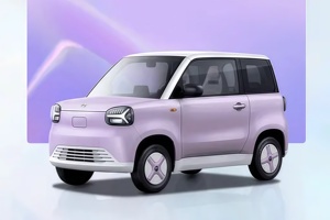 2025 Model Zhidou gökkuşağı Pro Caiyun Edition düşük fiyatlı hızlı şarj satışa 0.5h yeni enerji araç - Product Image 2