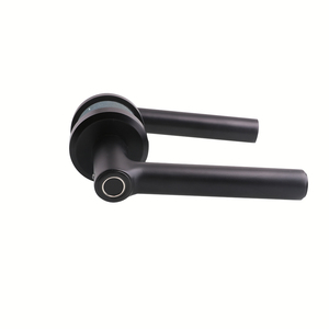 20 yıl deneyim yüksek kapasiteli 40mm kapı kalınlığı ile değiştirilebilir pil akıllı kilit kolu - Product Image 3