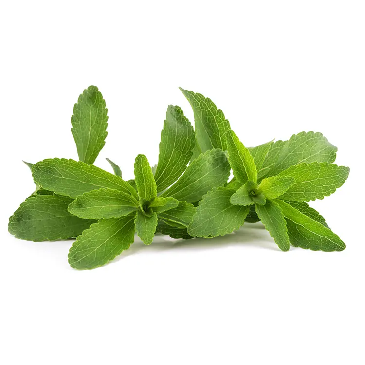 Extrato de Stevia Natural 100% Puro de Marca Própria CSBIO Preço por kg de Stevia em Pó