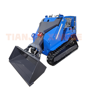 Trung Quốc Nhà sản xuất 0.3ton Skid chỉ đạo với CE/EPA động cơ theo dõi Skid chỉ đạo Bộ nạp đi xe trên Mini Crawler loader Giao hàng nhanh - Product Image 2