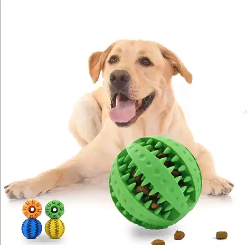 Jouets pour chien de compagnie Jouet drôle interactif balle d'élasticité chien jouet à mâcher pour chien dent propre boule de nourriture balle en caoutchouc extra-résistant
