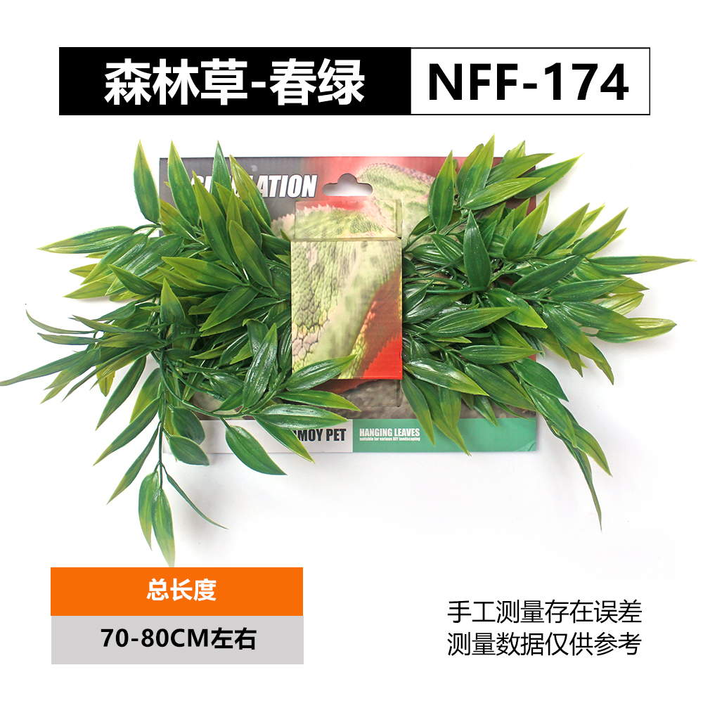 NFF-174