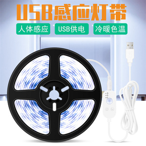 Motion Sensor Shoe Cabinet Bare Board IP20 USB <strong>Led</strong> Strip Rgb Color Tv Background Light Flexible <strong>Tape</strong> DC5V IP65 Waterproof - Product Image 5