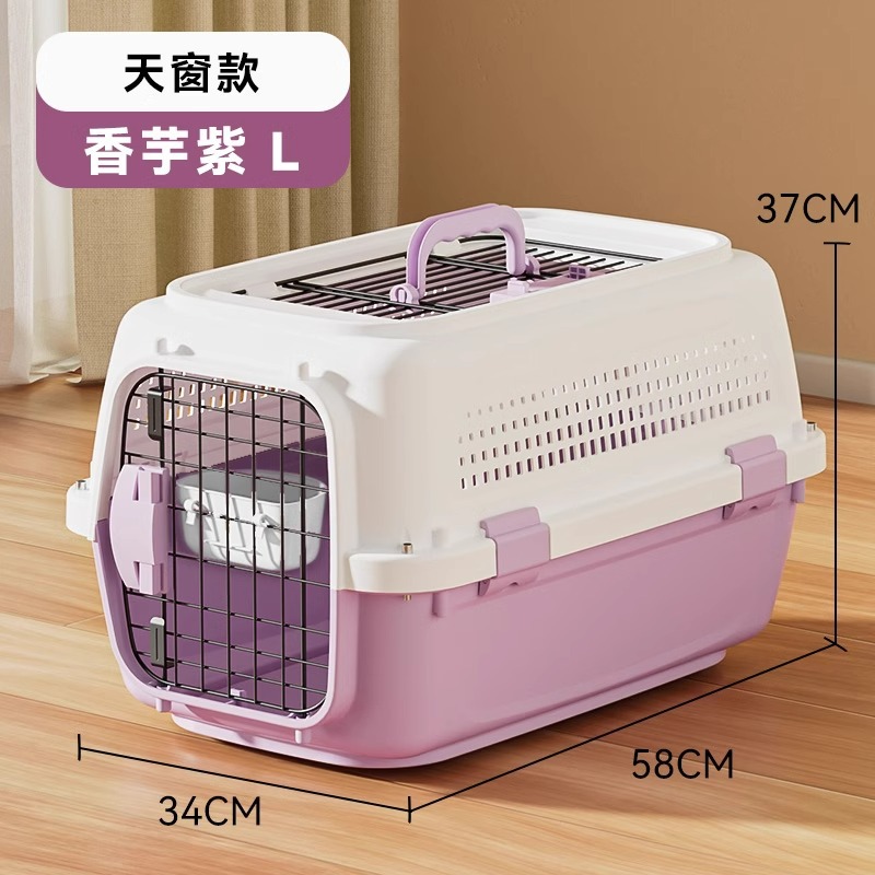 (skylight edition)taro violet l 10kg (comprend un bol suspendu)