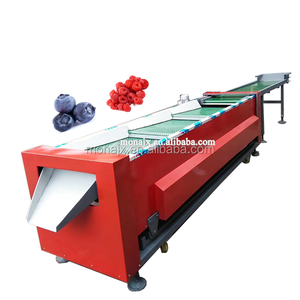 <strong>Automated</strong> Fruit Best Tomato Apple Avocado Apricot Blueberry Jujube Lychee Fruit <strong>Sorting</strong> Sizing and Grading <strong>Machine</strong> - Product Image 4