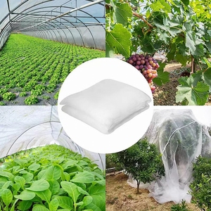 Rete di protezione trasparente per reti per zanzara e insetti, - Product Image 4