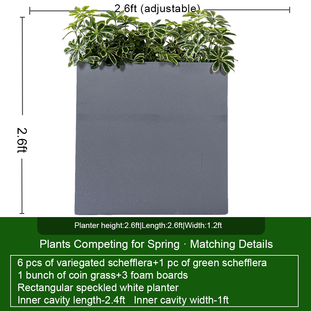 Conjunto gris de 2,6 pies con Schefflera variada