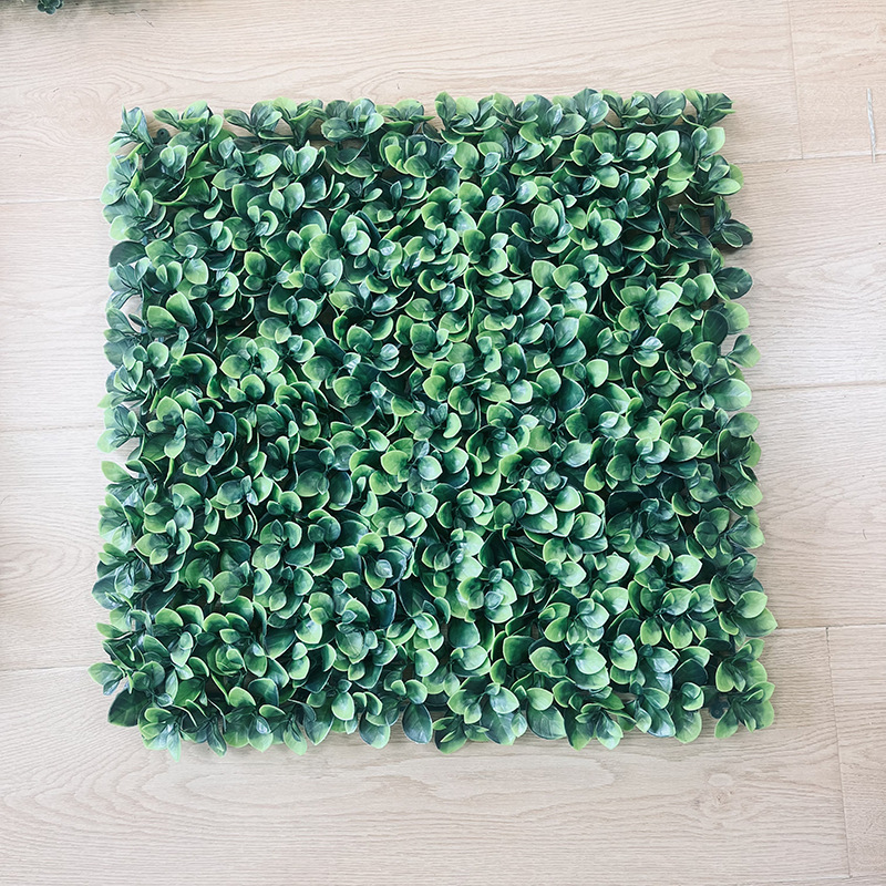 Light green apple leaves