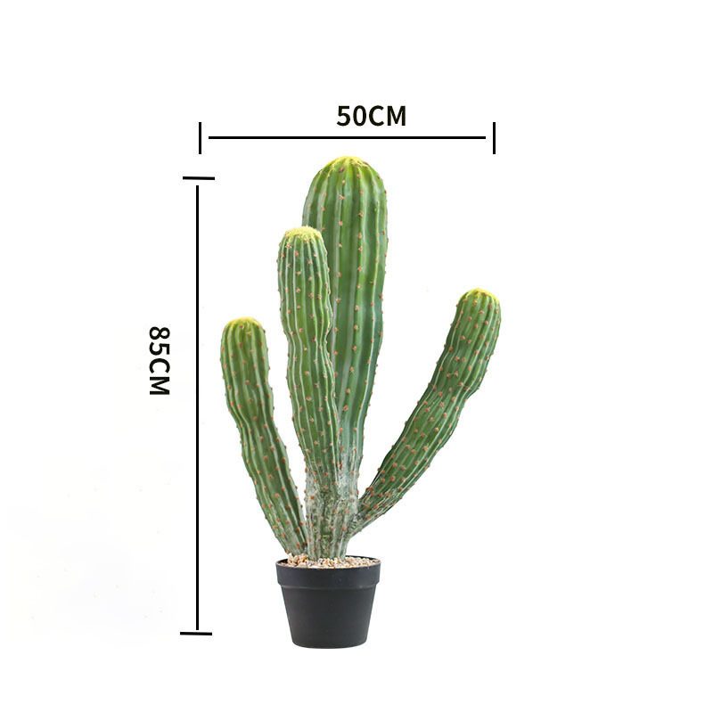 80cm