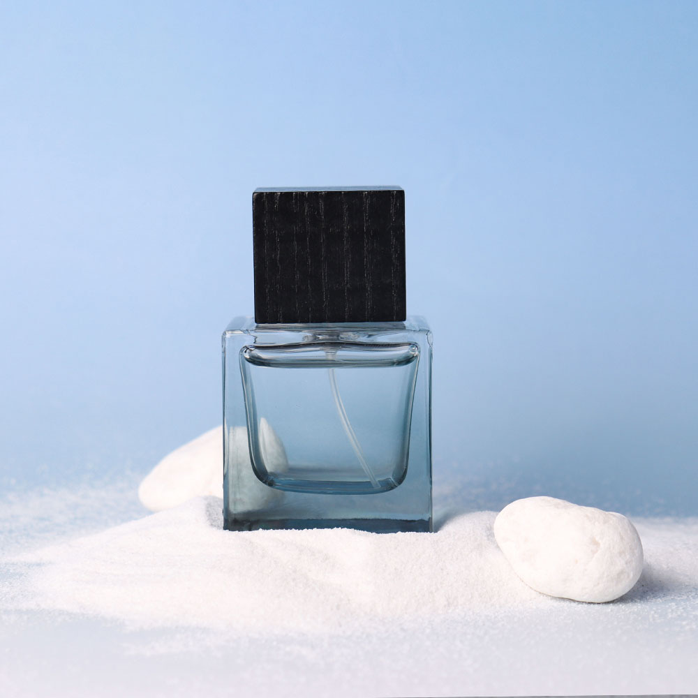 Dégradé bleu (sans logo)