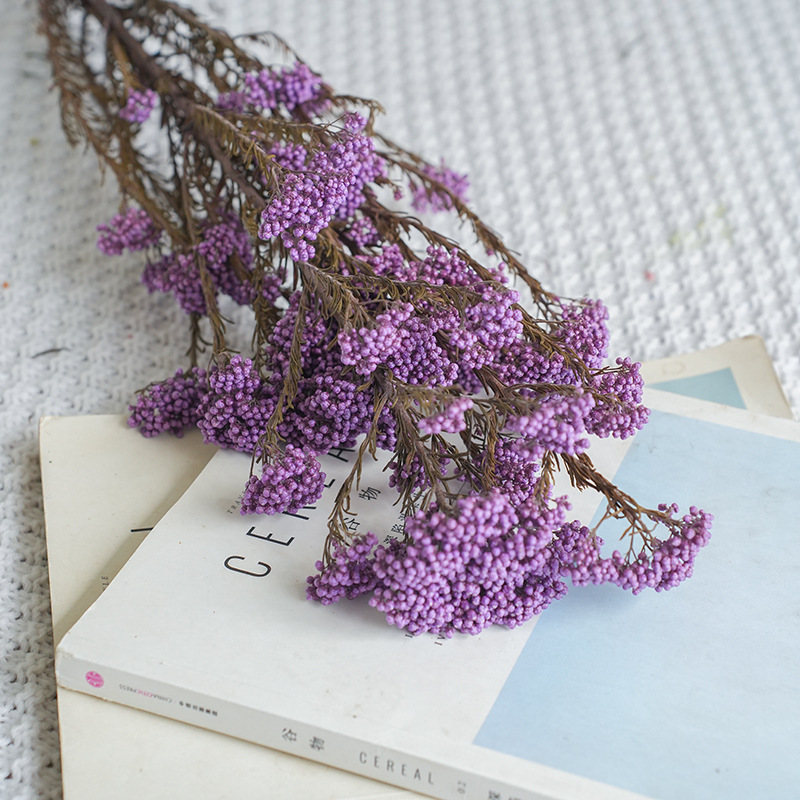 lilla viola-80g