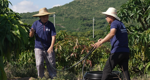 农场花园和温室定制聚乙烯硬软管厂家直销LDPE灌溉管道，用于农业浇水功能 - Product Image 4