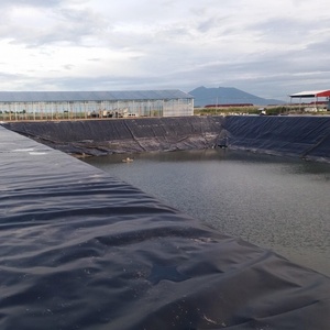 ダムライナージオメンブレンHDPEグリーンジオメンブレンブルー池ライナーホワイト防水プラスチックシート池ライナージオメンブレン - Product Image 4