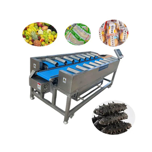 2023 venta al por mayor de setas de alta calidad fruta patata tomate carne congelada cinta transportadora tipo máquina de combinación de clasificación - Product Image 3