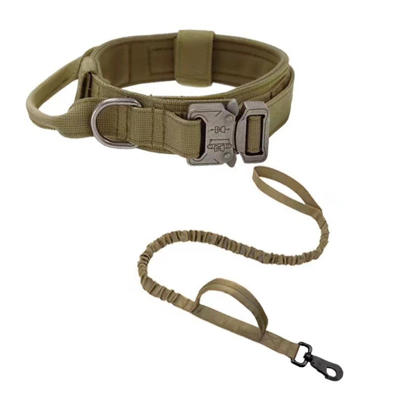 ZH001 Collier et laisse marron