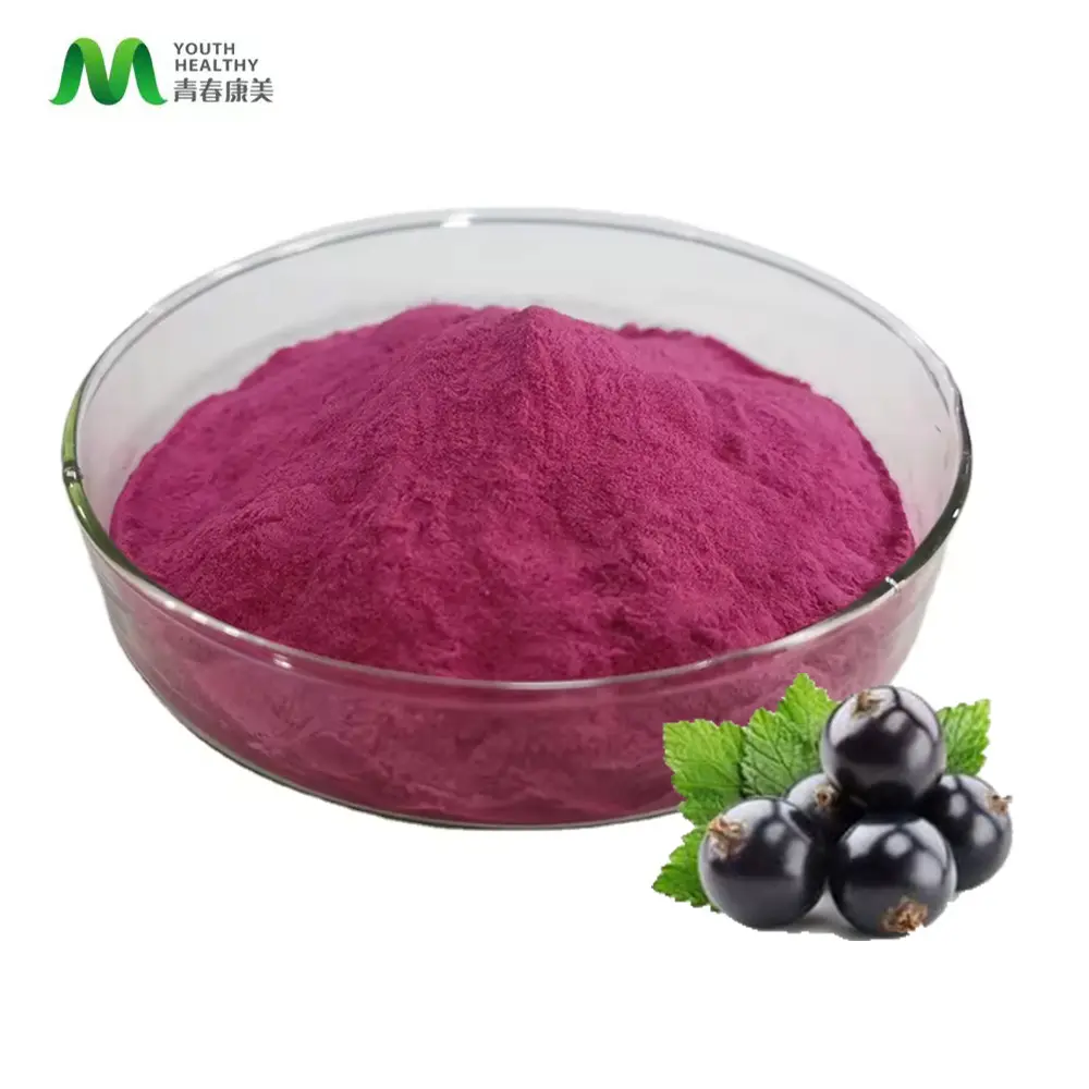 Polvo de fruta natural orgánico de fábrica a granel Brasil Acai Berry Juice Extract Powder Acai Berry Fruit Powder
