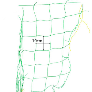 Rete di supporto per piante a traliccio per arrampicata agricola rete a traliccio 1.8 x3.6m - Product Image 5