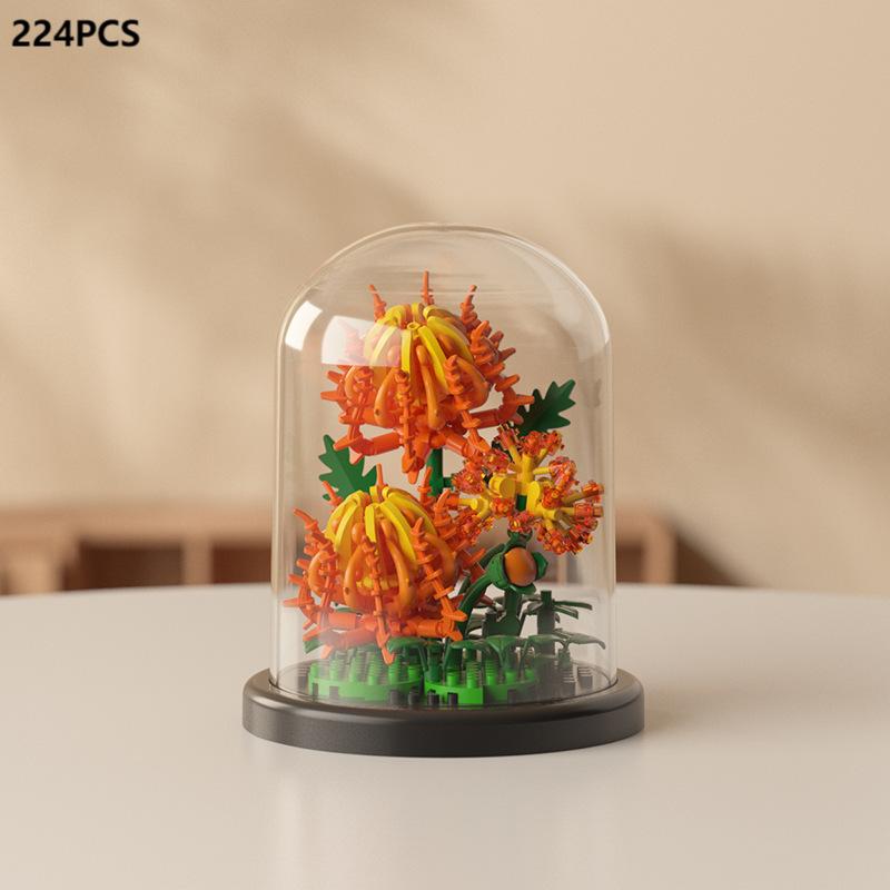 Chrysanthème épineux