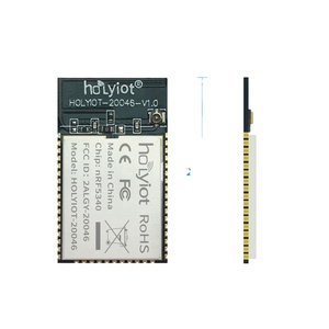 Holyiot Módulo Ble de largo alcance NRF5340 Fabricante de módulos Bluetooth BLE - Product Image 1
