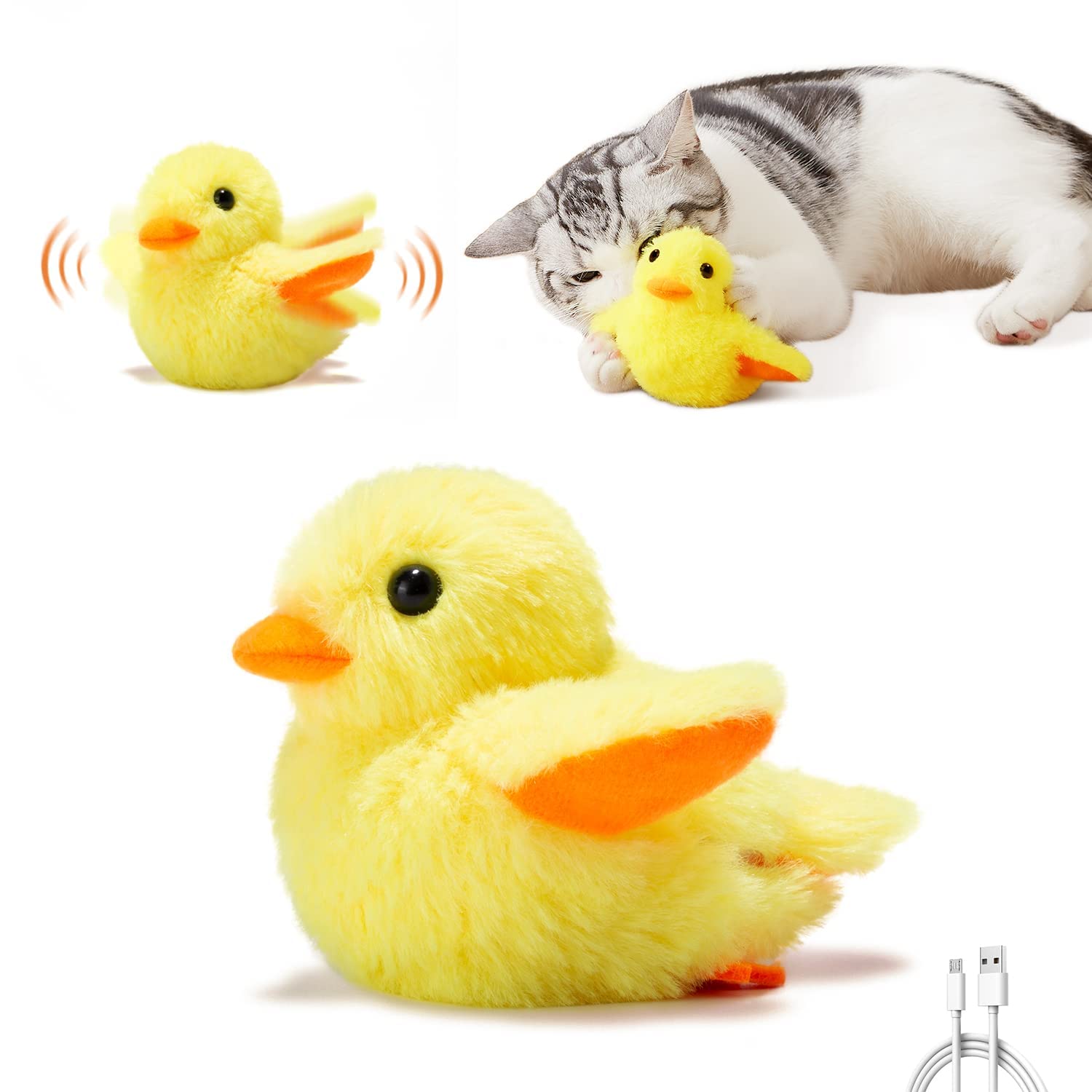 Pato