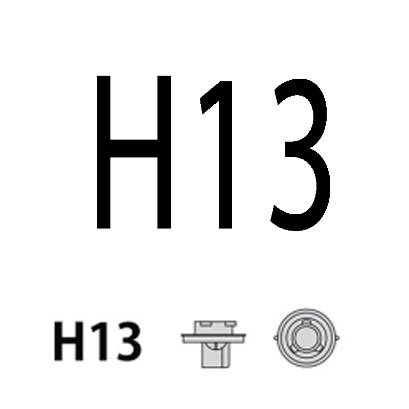 H13