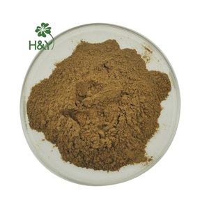 कारखाने उच्च गुणवत्ता वाले सर्वोत्तम मूल्य स्वास्थ्यप्रद आपूर्ति साइनोटिस आर्चनोविचार निकालने बीटा एक्डिस्टेरॉन पाउडर - Product Image 4
