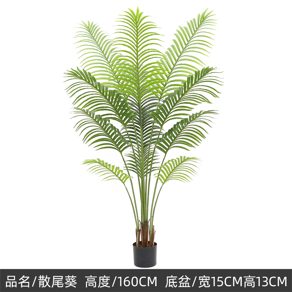 160cm new sanwei kwai, a