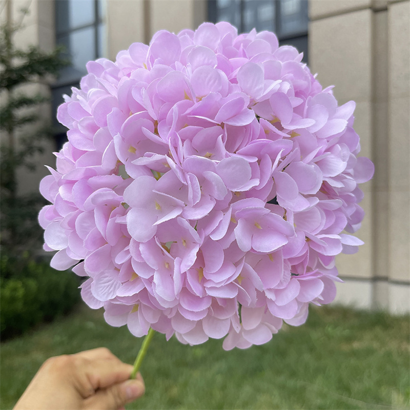Pink purple