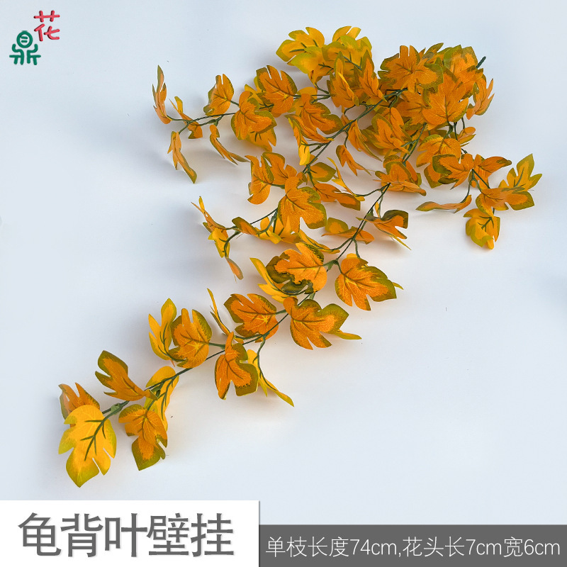 Monstera deliciosa tenture murale BLS orange-jaune