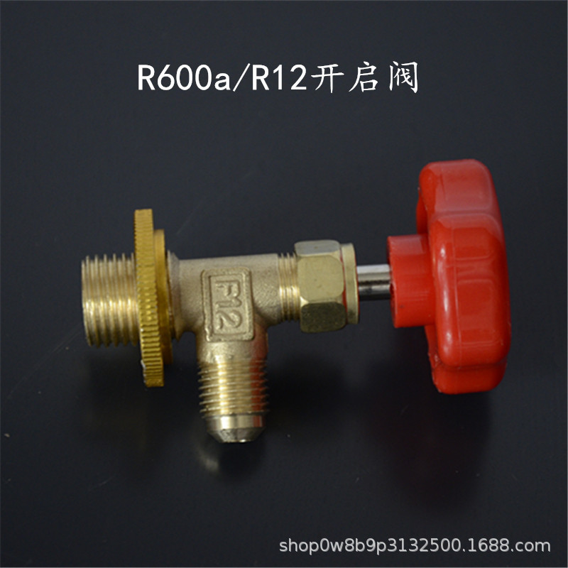 R600a et R12