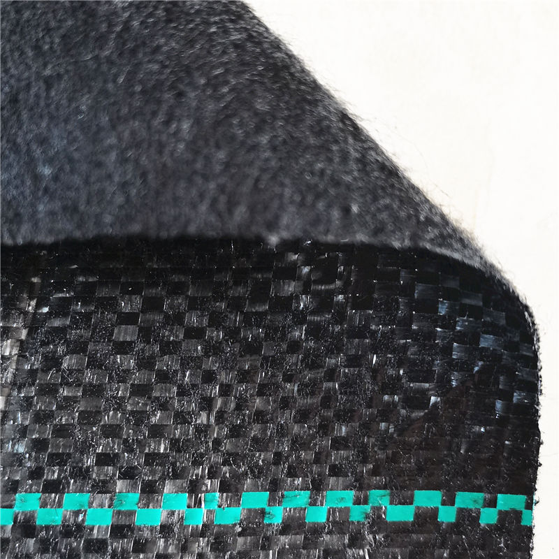 Negro