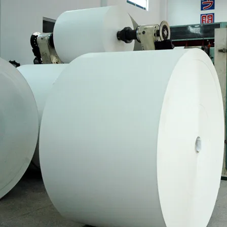 PE-beschichtete Papierrollen für Papierbecher 100% umweltfreundlich Holzpulpe Lebensmittel wasserdichte Rohstoffe beschichtete Papierrollen