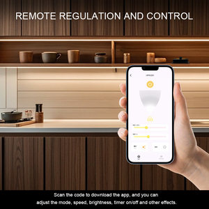 Ad alta tensione AC220V 1000W Wireless Bluetooth App di controllo LED striscia manuale manopola monocromatico Dimmer Controller per LED striscia luminosa - Product Image 3