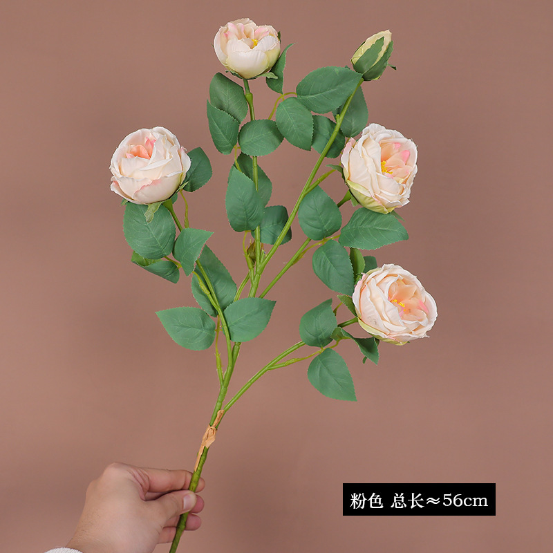 Pink (5 heads)
