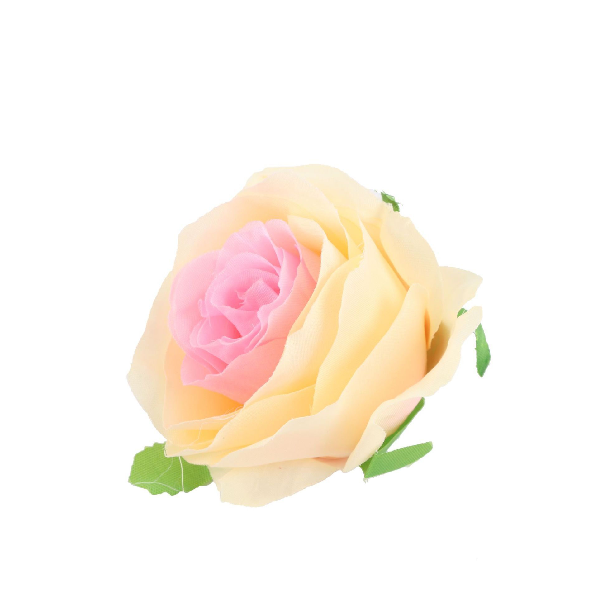 Rose champagne (à commander par multiple de 50)