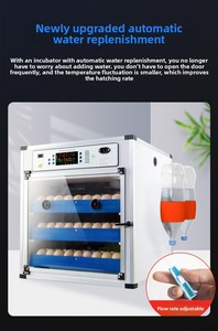 1000 Gà Trứng Lồng Ấp Hatcher Cho Bán/Gia Cầm Lồng Ấp/Trứng Hatching Máy Gia Cầm Lồng Ấp Máy - Product Image 5