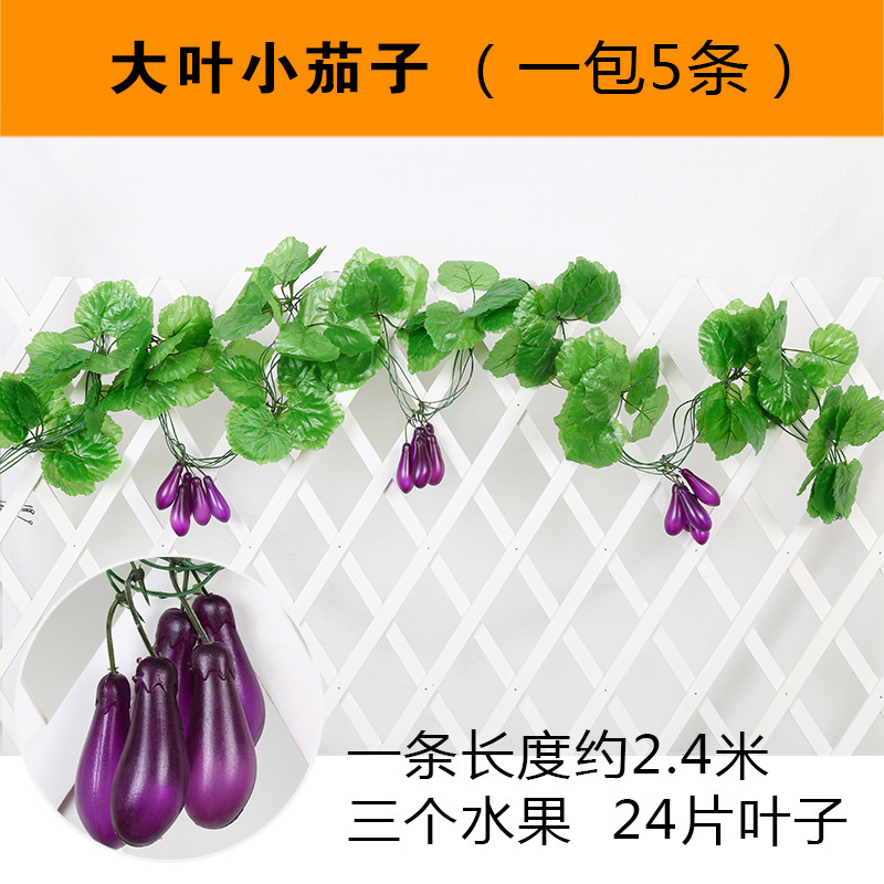 Un paquet de petites aubergines à grandes feuilles (5 pièces)