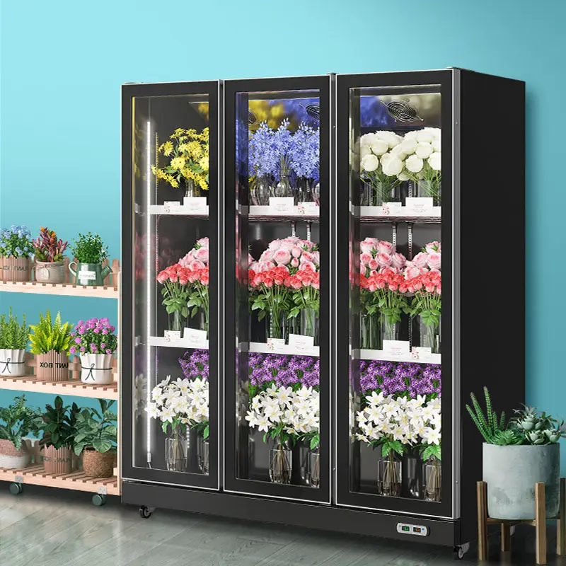 Exhibición de flores Refrigerador Exhibidor Congeladores Refrigerador Vitrinas refrigeradas Refrigerador de flores usado