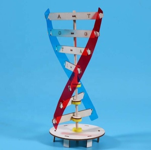 Montessori blok öğrenme kaynak DNA yapısı yapboz oyuncak duyusal istifleme insan gen modeli montaj bilim oyuncak - Product Image 3