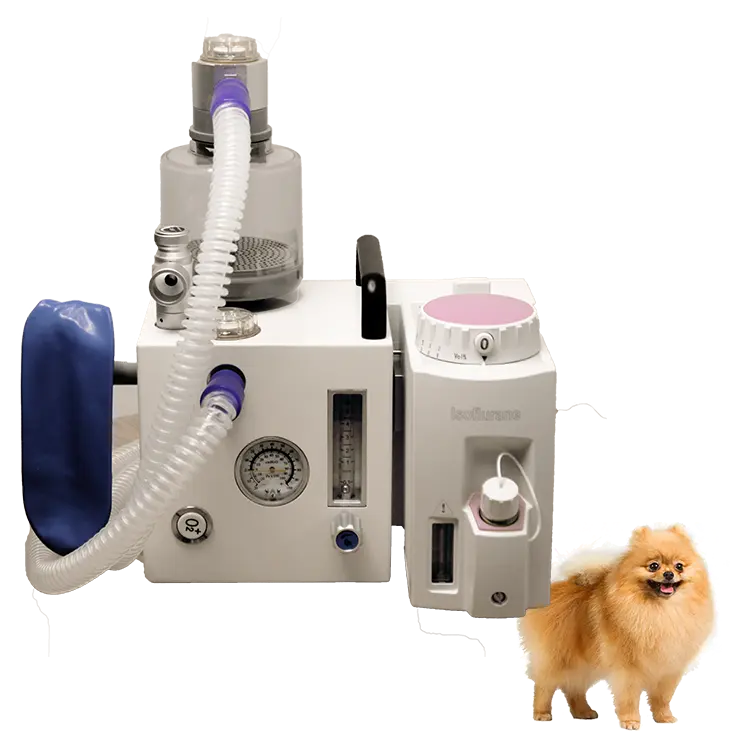 IndiaMART-máquina de anestesia veterinaria, dispositivo para direccionar negocios