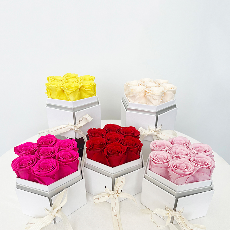 Rose-6-Hexagone