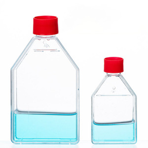 PP <strong>Culture</strong> Flask Placed on Tray and Plant Tissue <strong>Culture</strong> Flasks Orchids-flask <strong>Culture</strong> - Product Image 3