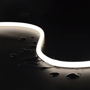D16 DC24V IP67 Digital <strong>Led</strong> Neon Strip 270 Degree Luminous RGB Magic Light Effect Color Gradient Flexible Silicone Neon Light - Product Image 2