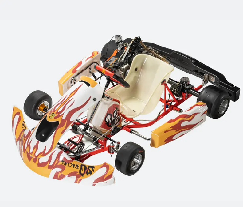 SQ Hot-vente essence course kart /karting pour adulte gx200cc