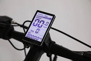 GDS EbikeC039カスタム29インチ電動シティバイクカーボンリム付き12スピードロードフレームパテントe-BikeFahrrad Basikal