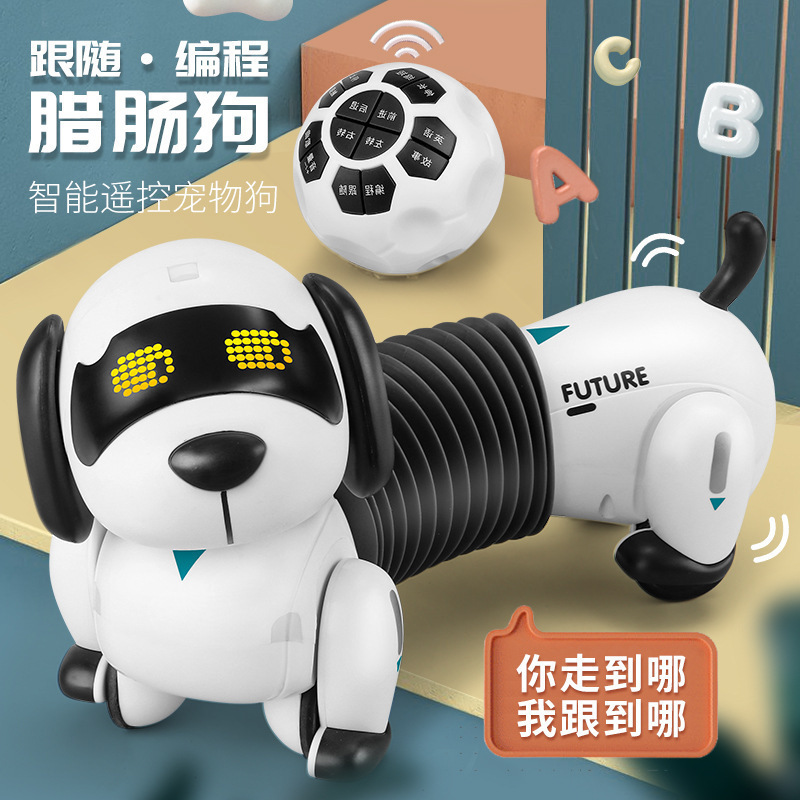 K22 a suivi le teckel