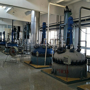 Fabrika kaynağı Shellac CAS 9000-59-3 en iyi fiyat ile gomalak 100% doğal gomalak pul ürünleri - Product Image 5