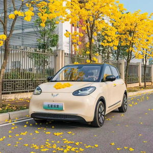 Voiture電気自動車2025 Wulling Bingo EvミニカーWuling Bingo 203km 333km 410km新エネルギー自動車電気自動車 - Product Image 1