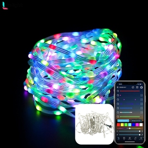<strong>Custom</strong> Length Dream <strong>Color</strong> LED <strong>String</strong> WS2811 Addressable Individually RGBIC for DIY Decorate Garage Curtain Wedding <strong>String</strong> <strong>Lights</strong> - Product Image 1